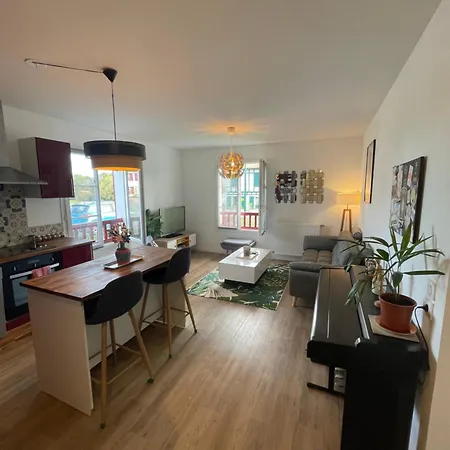 Charmant Appartement * Larressore